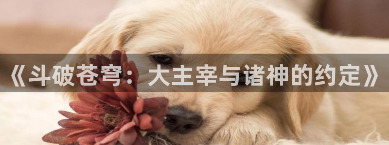 虫虫漫画免费页面窗口